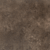 Color Image